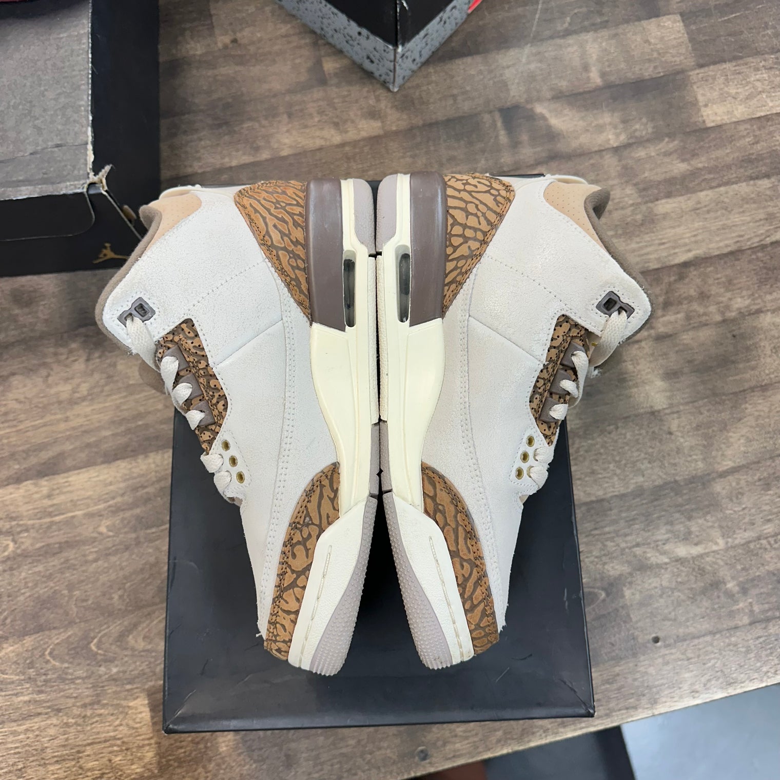 Palomino Jordan 3 Retro (GS) (USED)