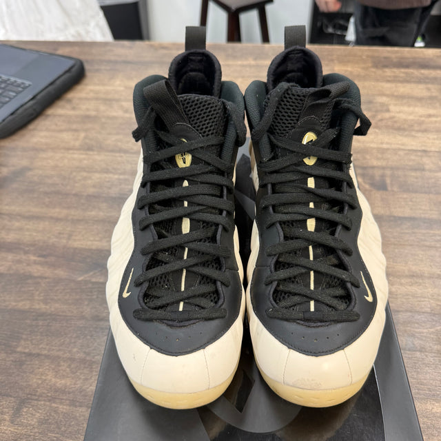 Penny PE Foamposite (USED)