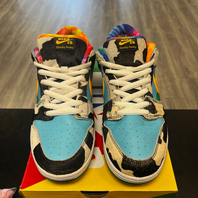 Ben & Jerry’s Chunky Dunky Nike SB Dunk Low (USED)