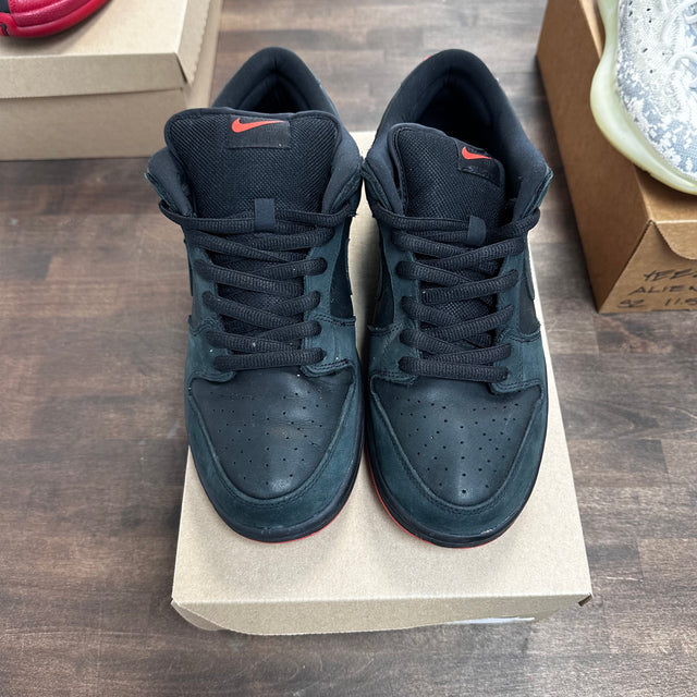 Black Pigeon Staple Nike SB Dunk Low (USED,No Box)