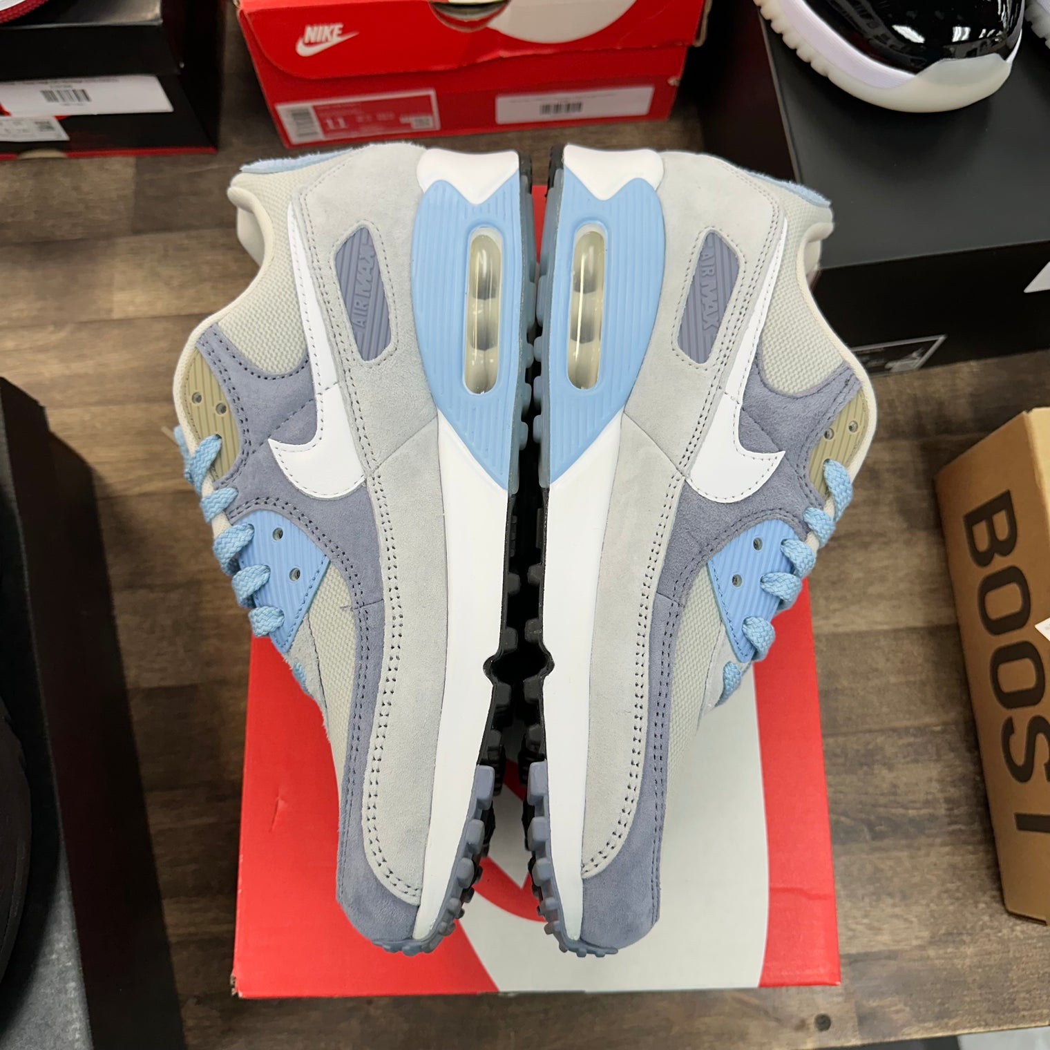 Nike Air Max 90 Ashen Slate (USED, Replacement Box)