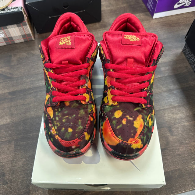 Wizard of OZ SB Dunk Low (USED)