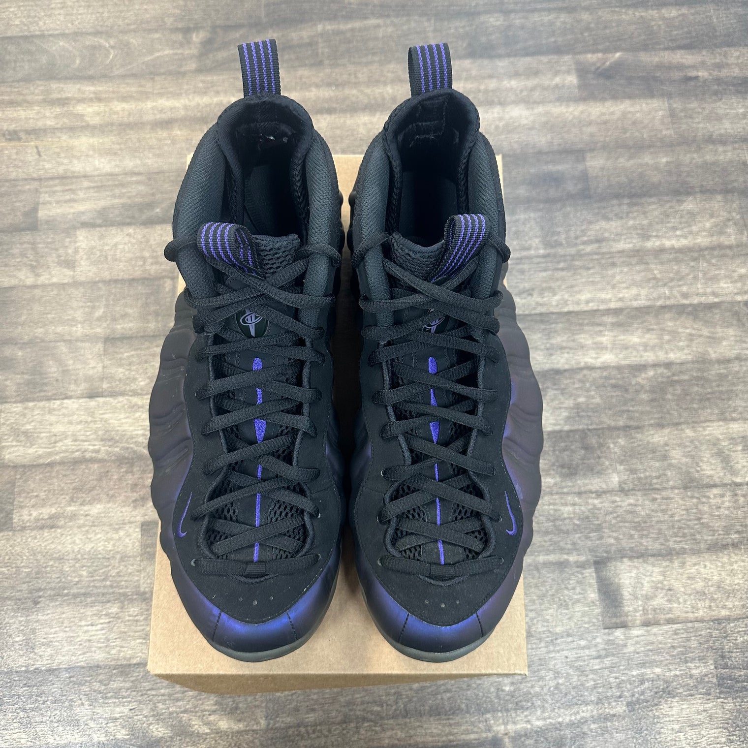 Eggplant Foamposite One (USED, No Box)