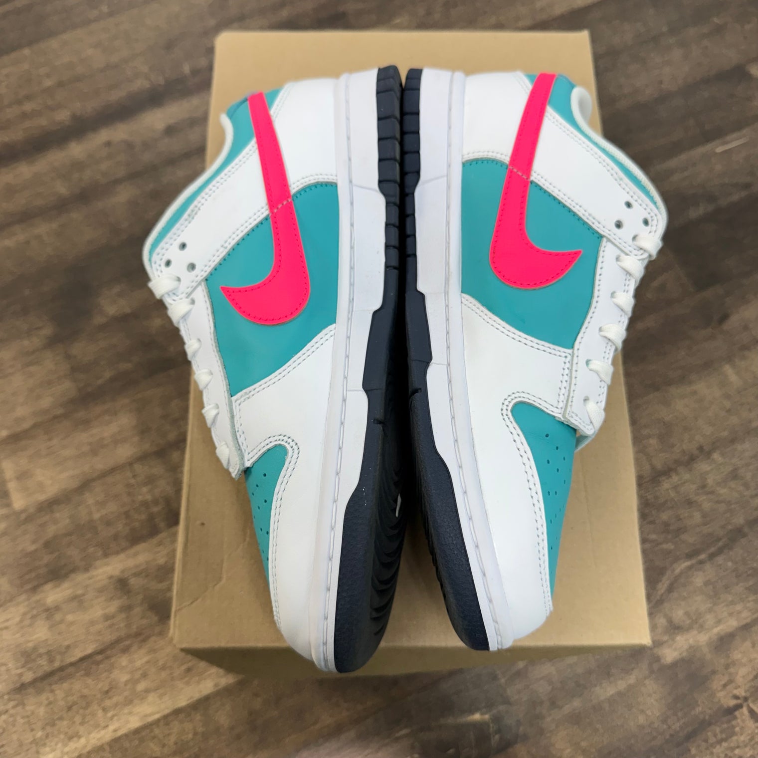 Dusty Cactus Nike Dunk Low (USED, No Box)