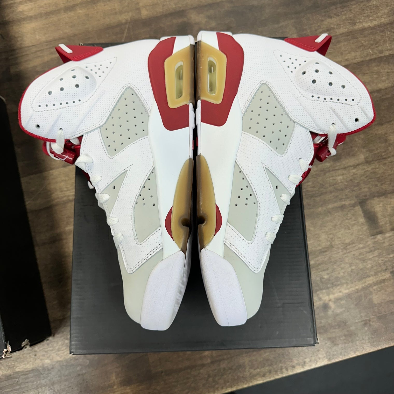 Hare Jordan 6 Retro (Used)