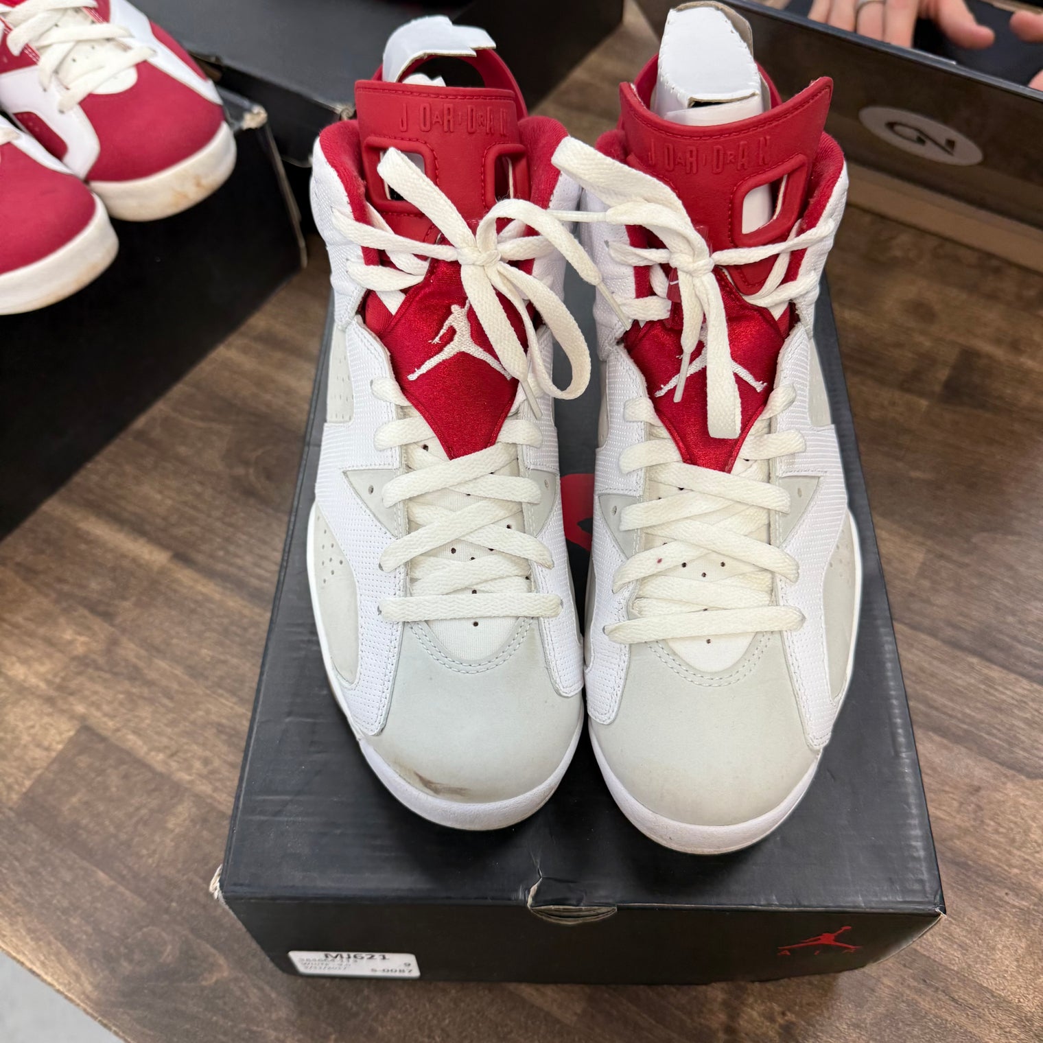 Alternate Hare Jordan 6 Retro (USED)