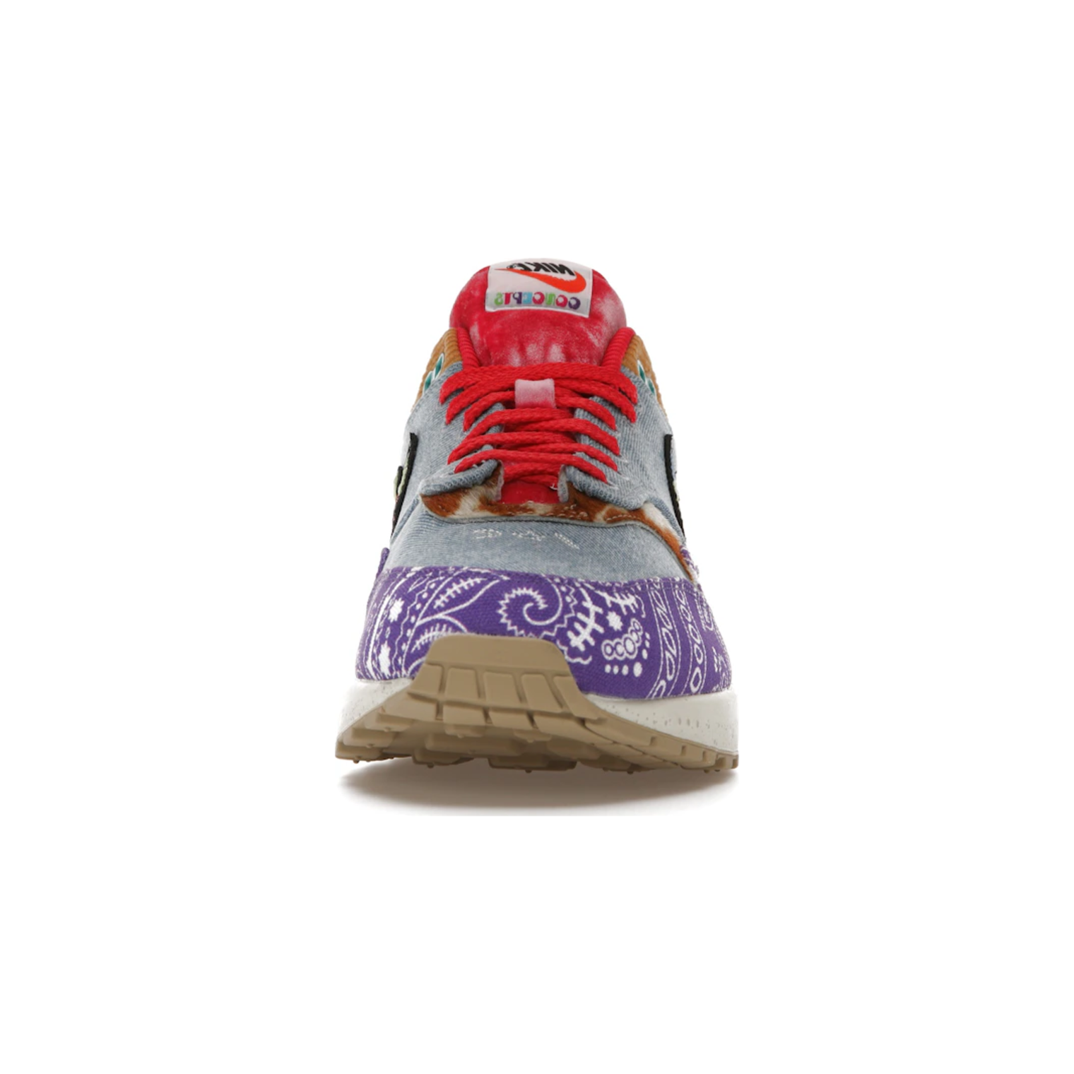 nike_air_max_1_sp_concepts_far_out_regular_box_3