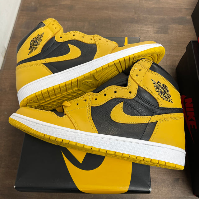Pollen Jordan 1 High (USED)
