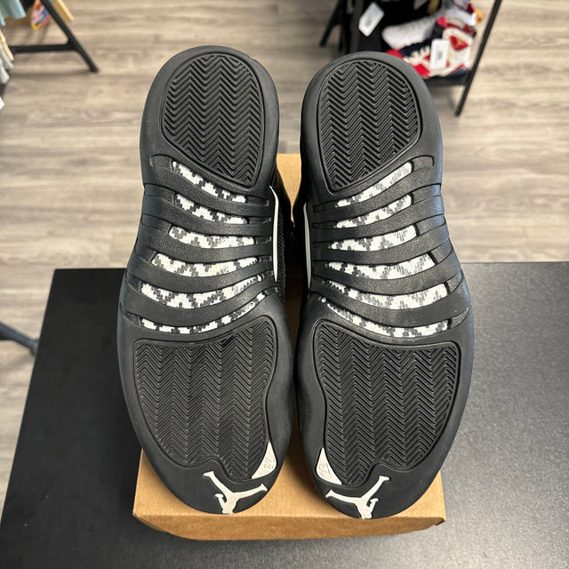 Master Jordan 12 (USED, no box)
