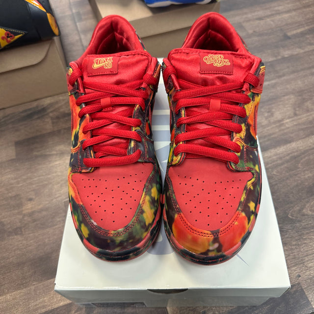 Wizard of OZ SB Dunk Low (USED)