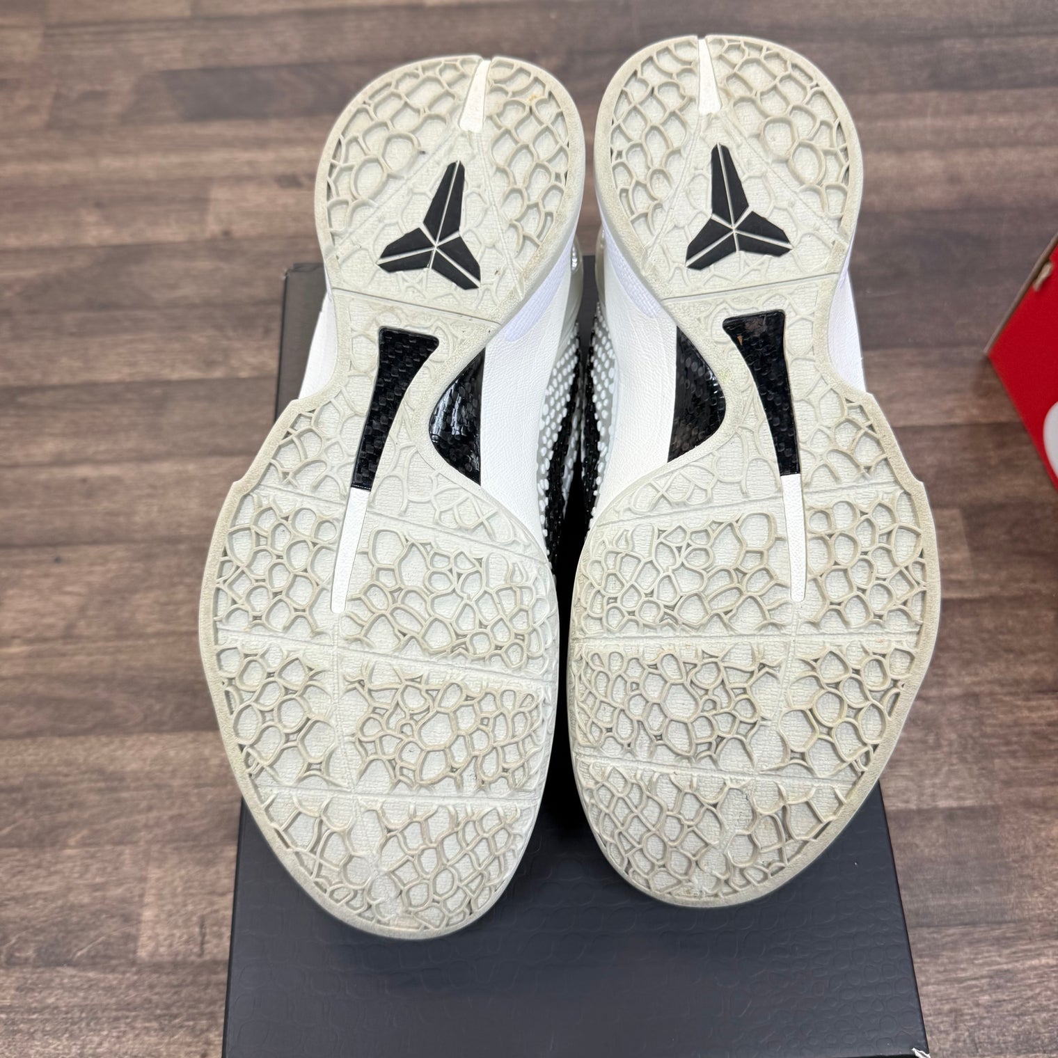 All Star Kobe 6 Protro (USED)
