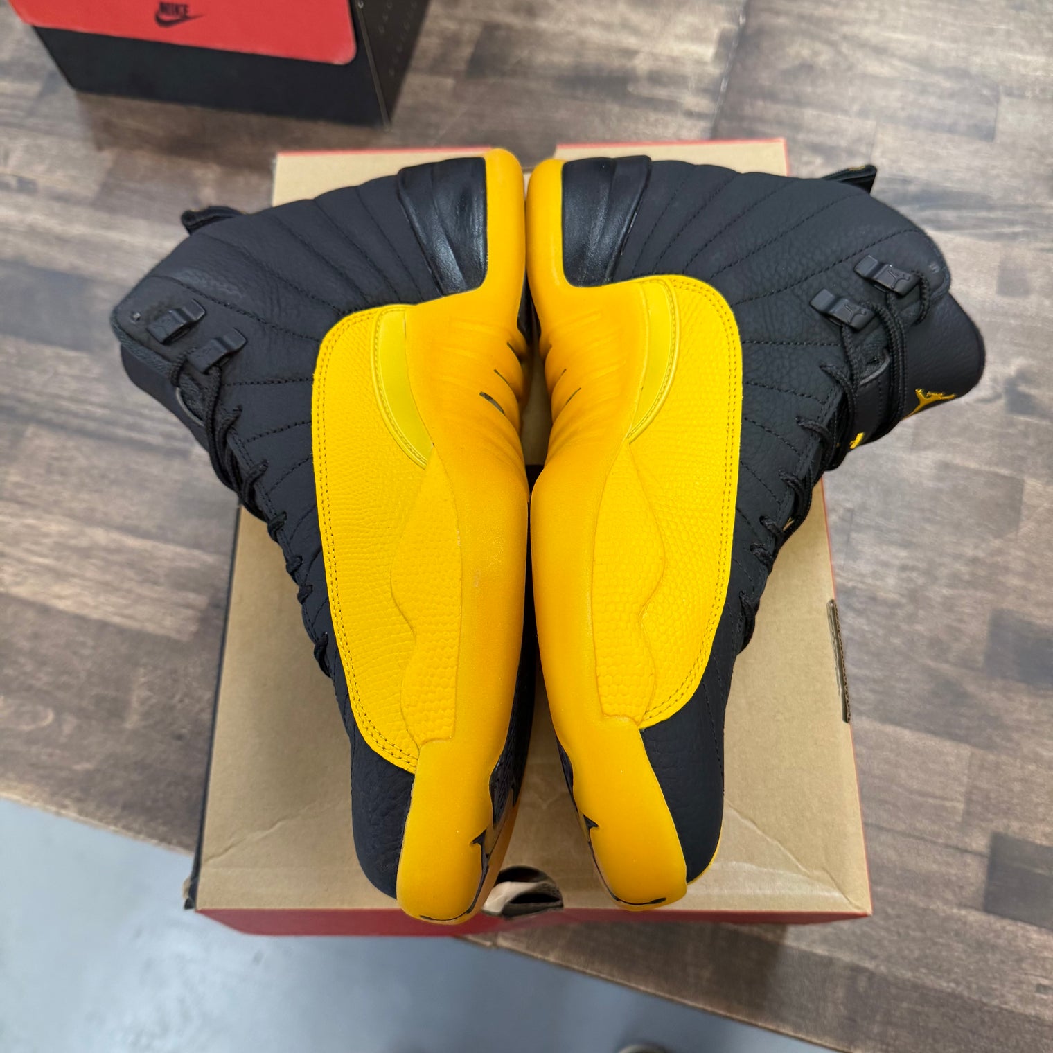 University Gold Jordan 12 Retro (USED)