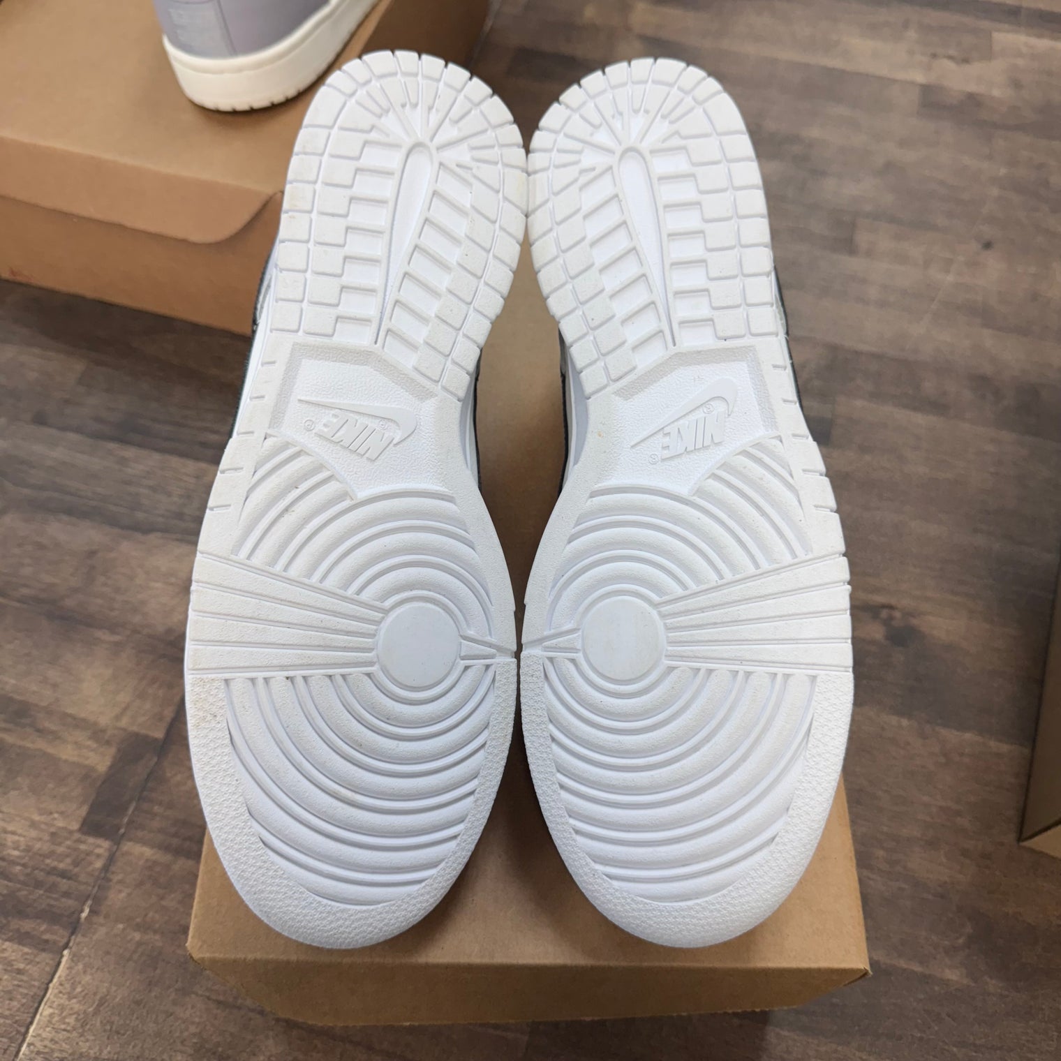 Reverse Panda Dunk Low (USED, No Box)