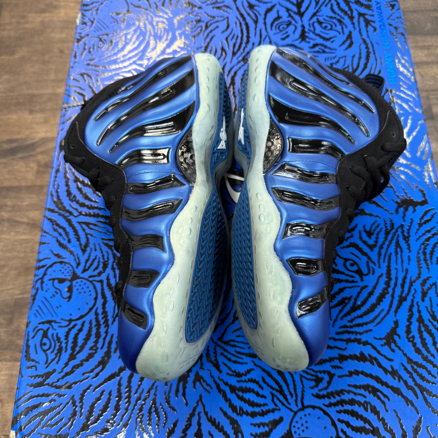 Sharpie Pack Nike Air Foamposite One & Nike Penny 6 (USED/NEW)