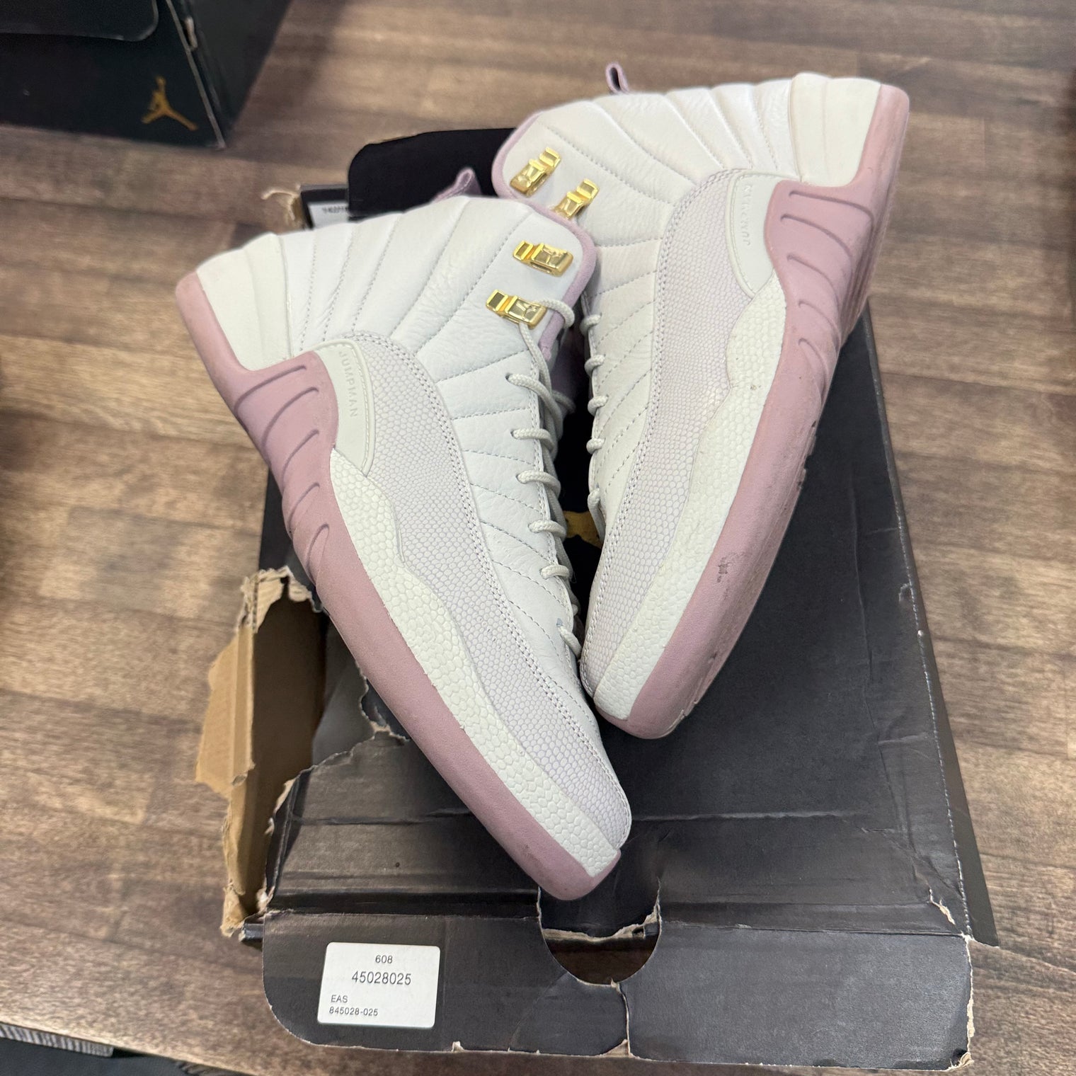 Heiress Plum Fog Jordan 12 Retro (GS) (USED)