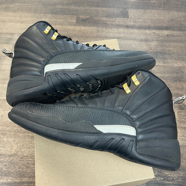 Master Jordan 12 (USED,No Box)