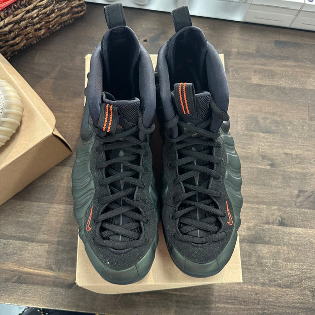 Sequoia Nike Foamposite (USED, No Box)