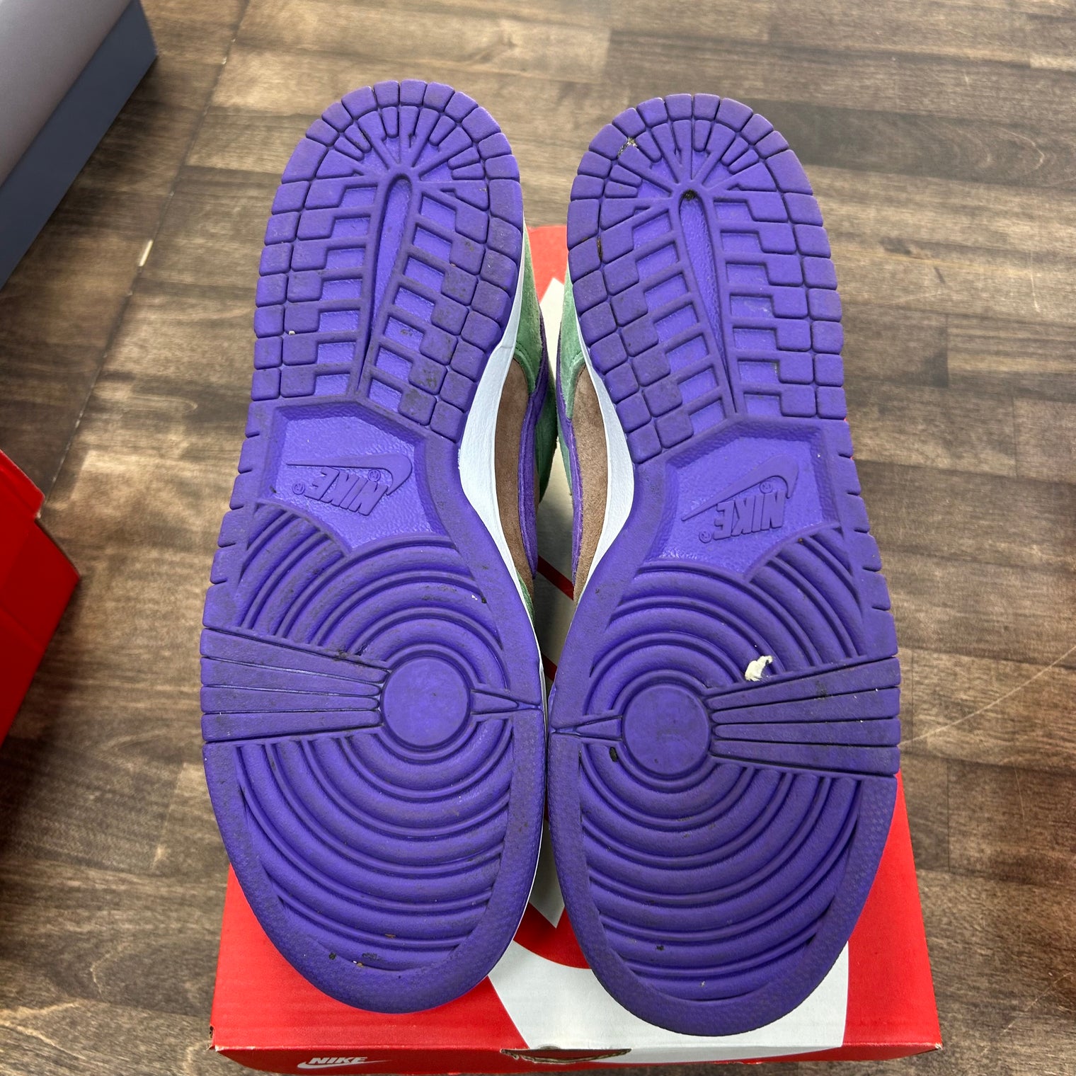 Veneer Dunk Low (USED)