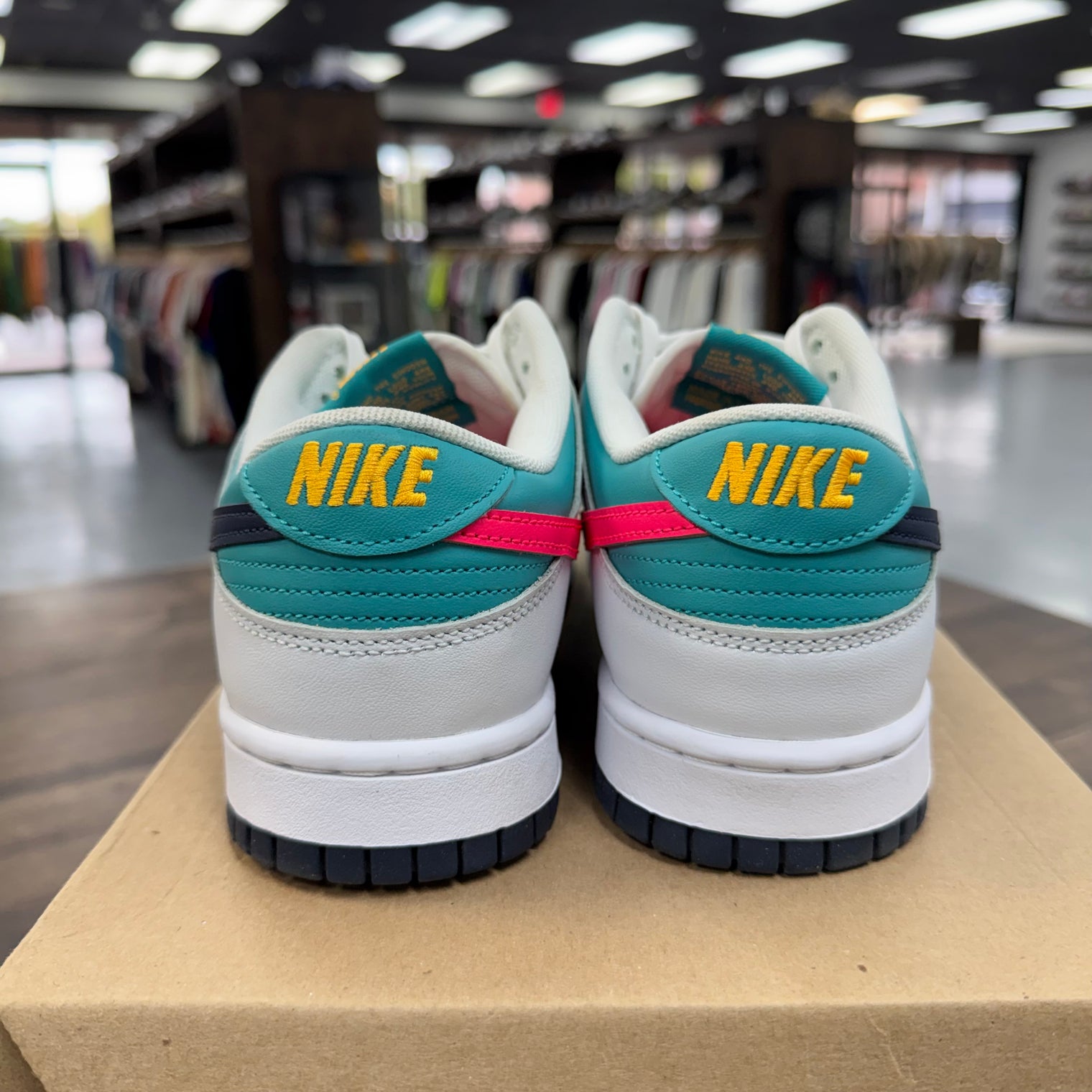Dusty Cactus Nike Dunk Low (USED, No Box)