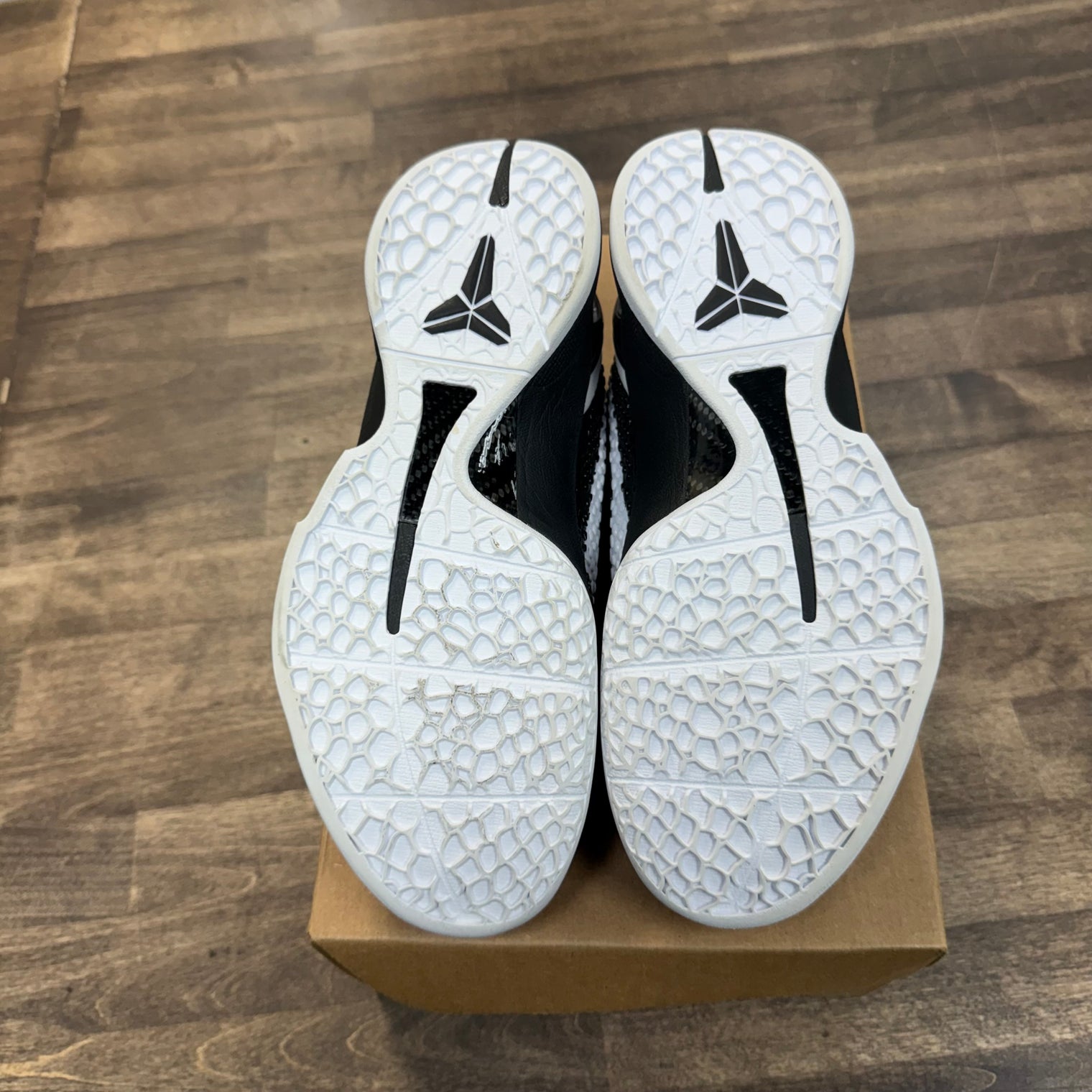 Mambacita Sweet 16 Nike Kobe 6 Protro (USED, No Box)