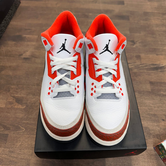 Dunk on Mars Jordan 3 SE (GS) (USED)