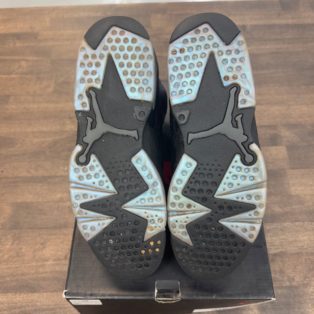 All Star Chameleon Jordan 6 (USED)