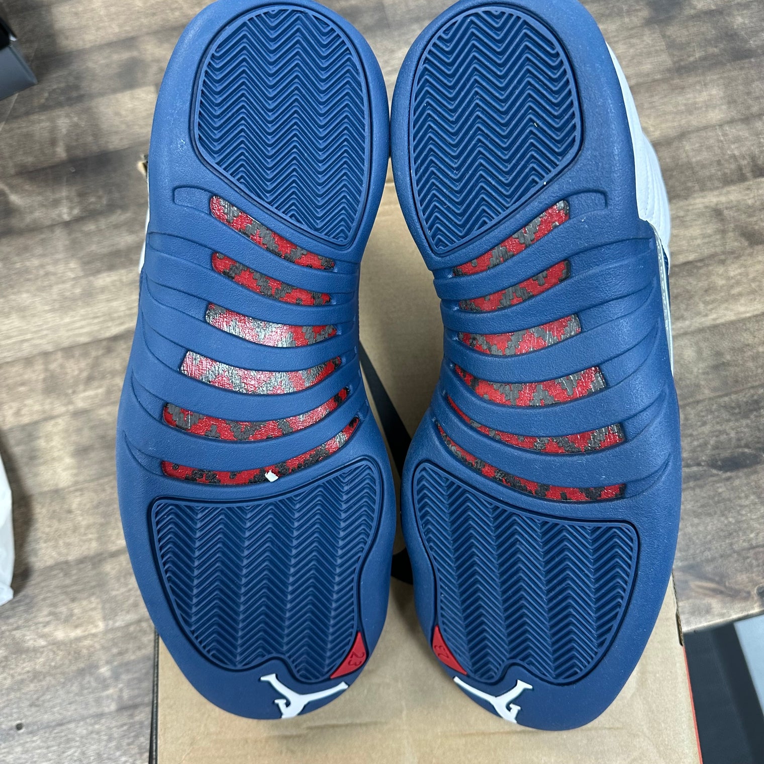 French Blue Jordan 12 Retro (2025) (USED)