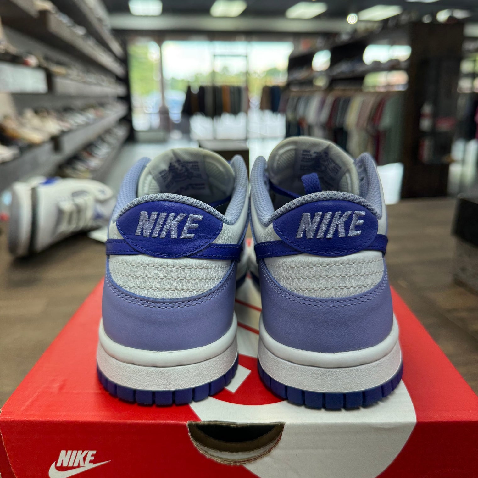 Blueberry Dunk Low (GS) (USED,No Box)