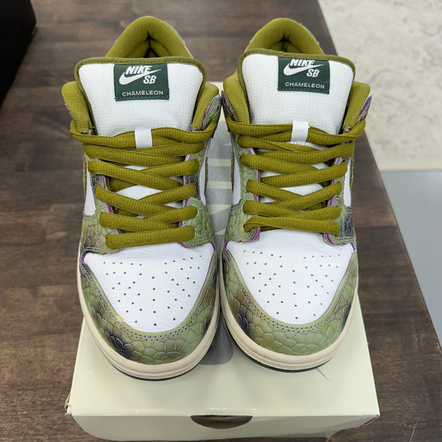 Alexis Sablone Chameleon SB Dunk Low (USED)