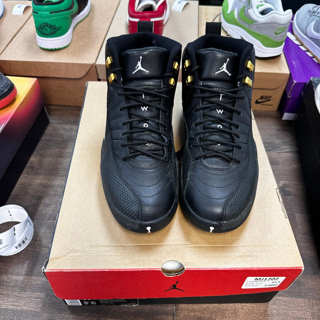 Masters Jordan 12 (USED)