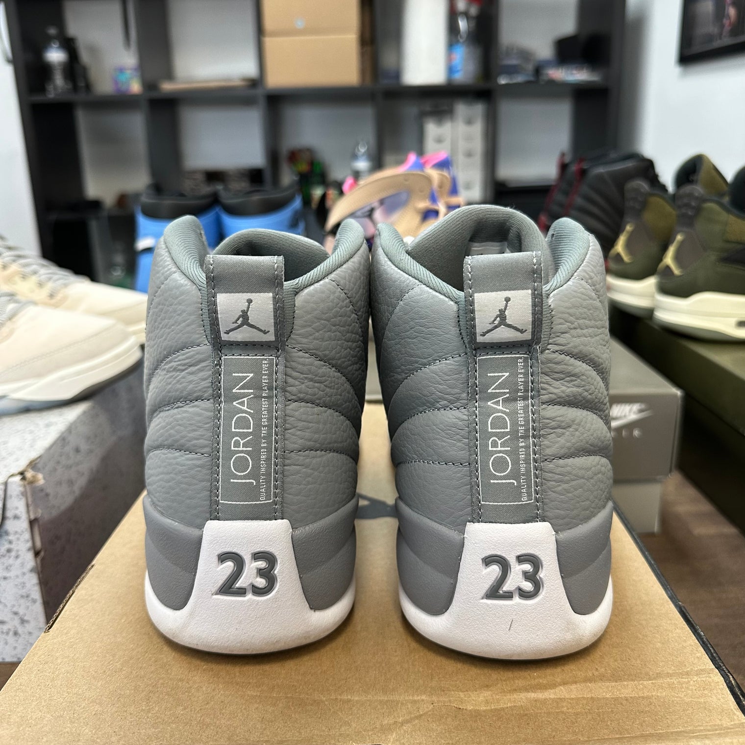 Stealth Jordan 12 Retro (USED)