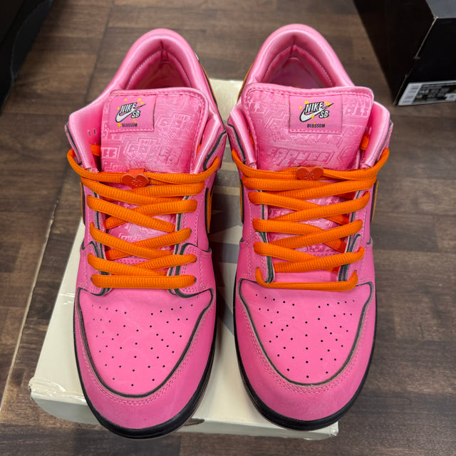 Blossom The Powerpuff Girls Nike SB Dunk Low (USED)