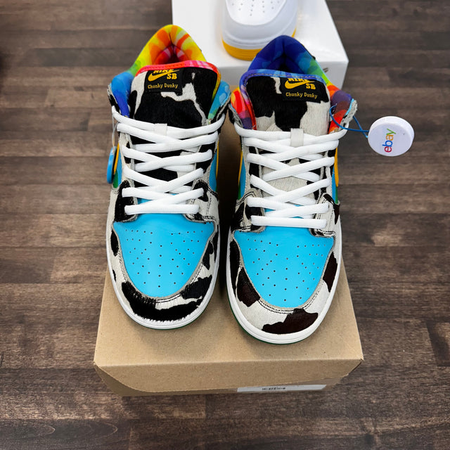Ben & Jerry's Chunky Dunky Nike SB Dunk Low (USED,No Box)