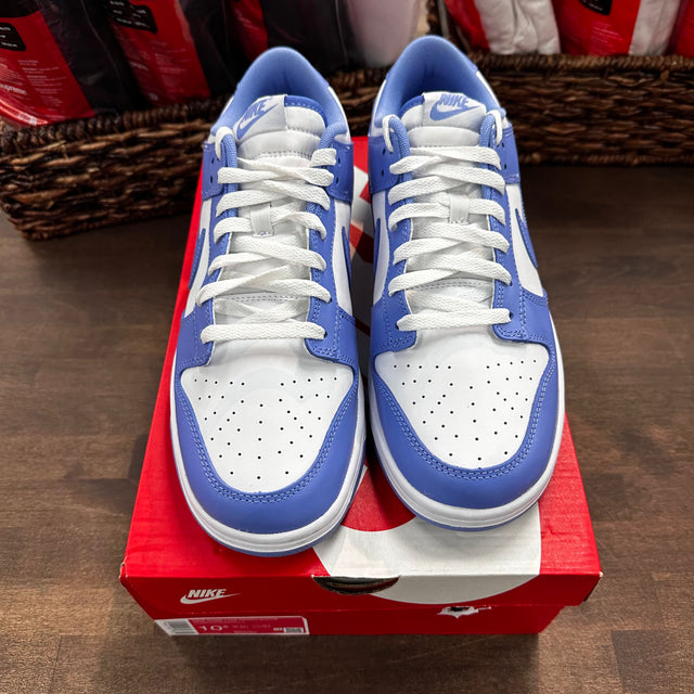 Polar Blue Dunk Low (USED)