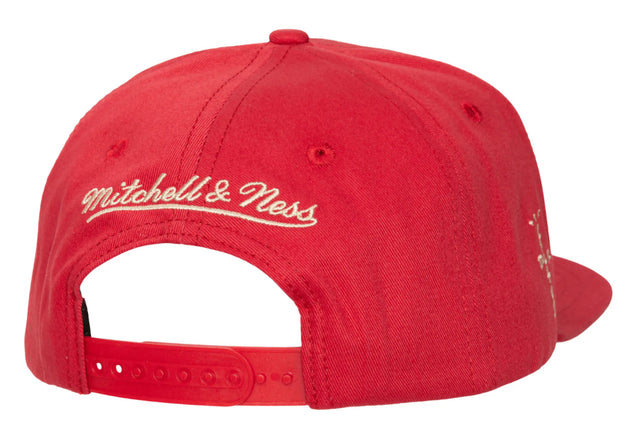 Georgia Bulldogs Travis Scott Mitchell & Ness SnapBack