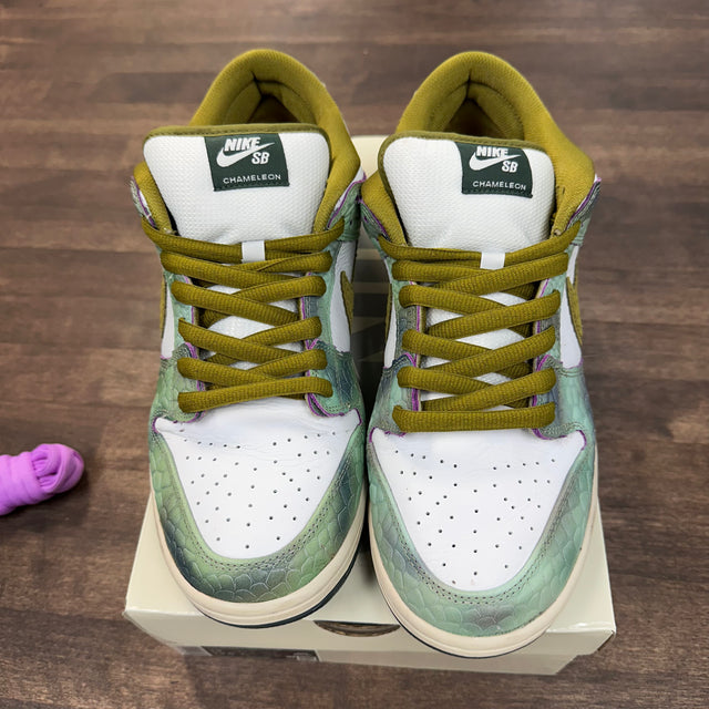 Alexis Salblone Chameleon SB Dunk Low (USED)