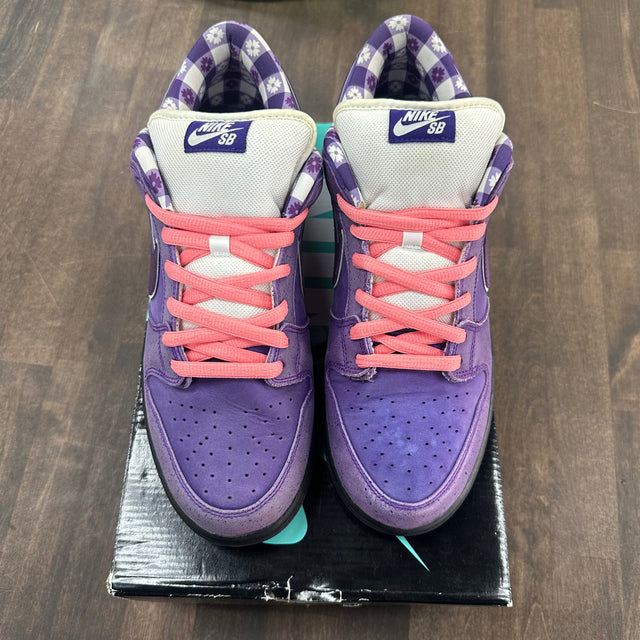 Concepts Purple Lobster Nike SB Dunk Low (USED)