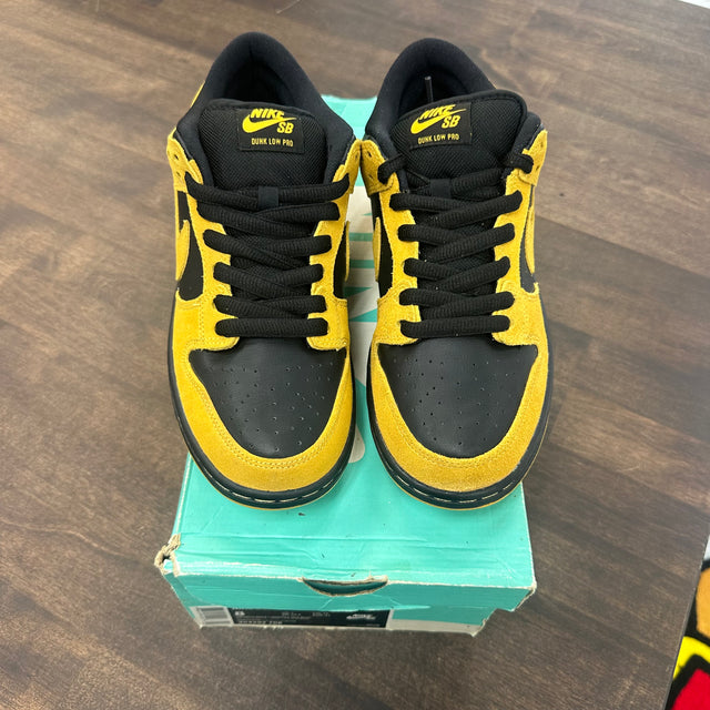 Iowa Nike SB Dunk Low (Tried On)