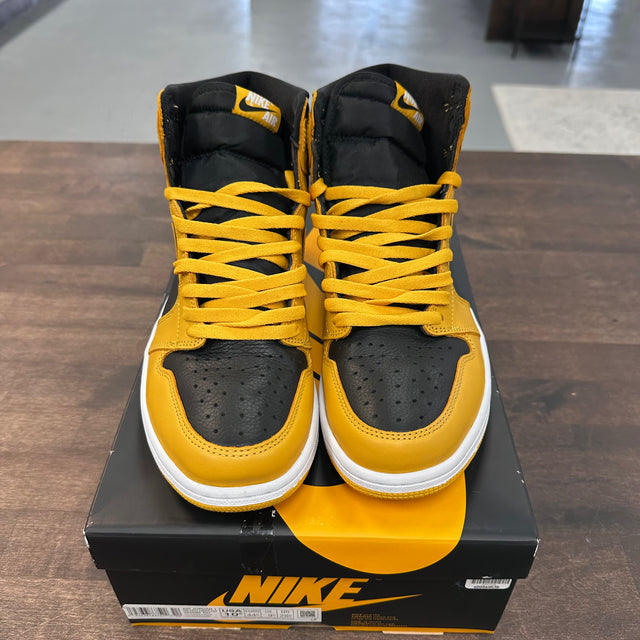Pollen Jordan 1 High (USED)