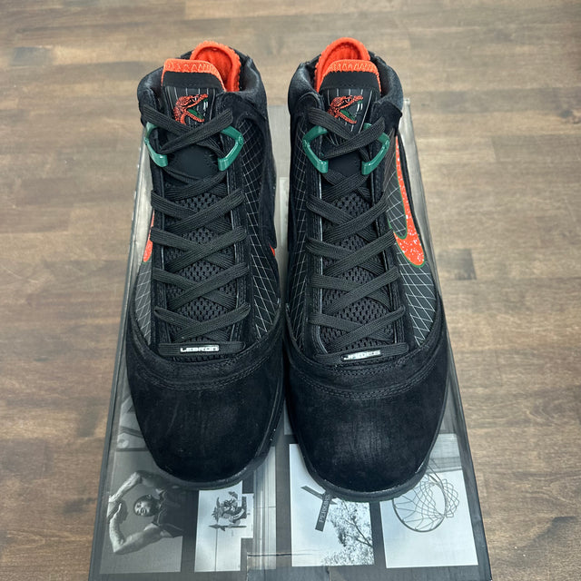 FAMU Nike LeBron 7 (USED)