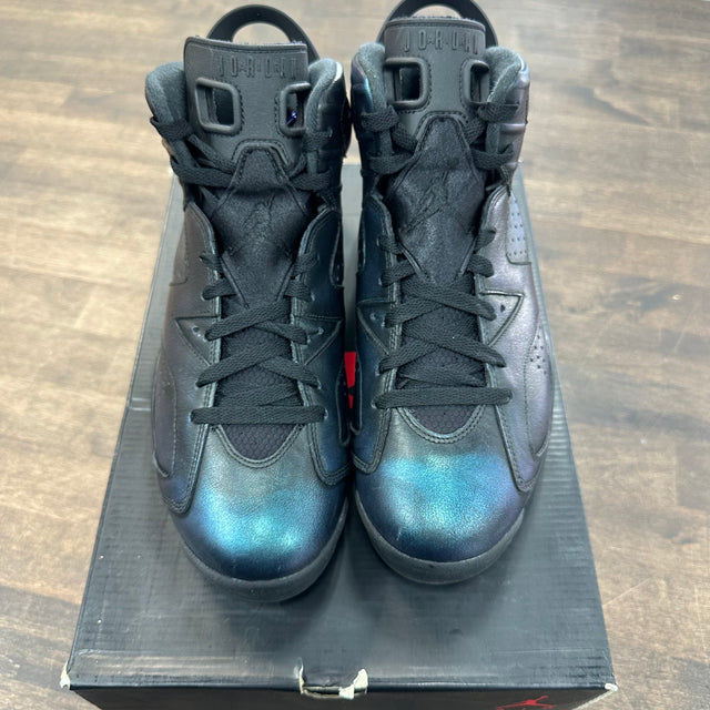 Chameleon Jordan 6 (USED)