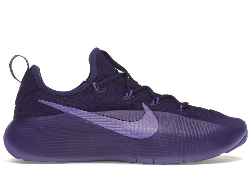 Nike LeBron TR 1 Purple Rain