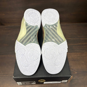 Jordan 23 TITAN Size 10 (Pre-Owned)