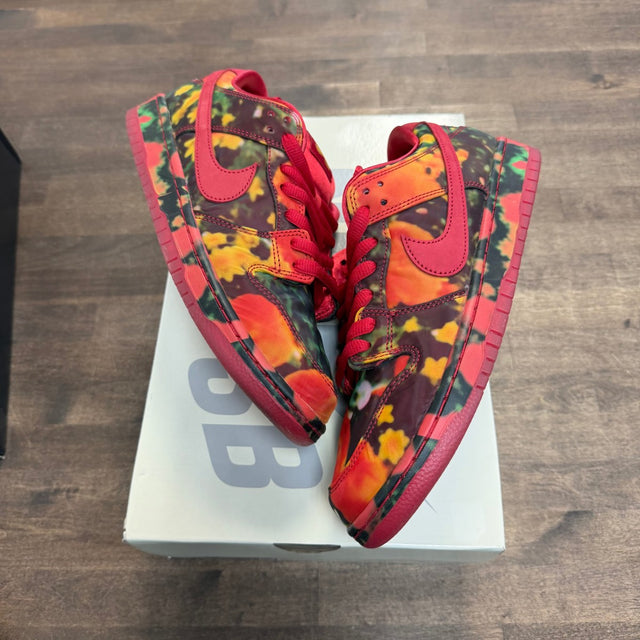 Nike SB Dunk Low The Wizard of Oz Poppy Field - Image 1