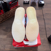 LeBron James Fruity Pebbles Nike Dunk Low (USED)