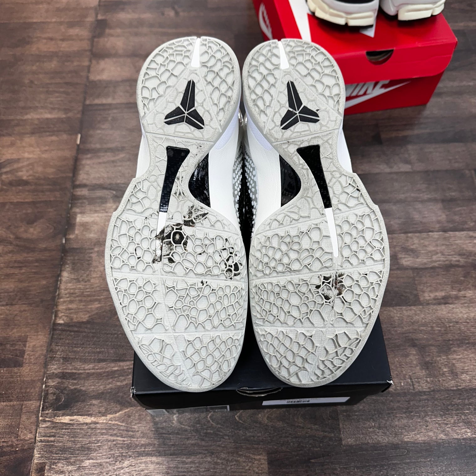 All Star Kobe 6 Protro (USED)