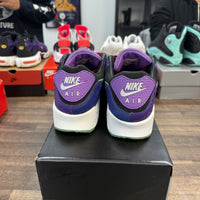 Violet Blend Nike Air Max 90 (USED)