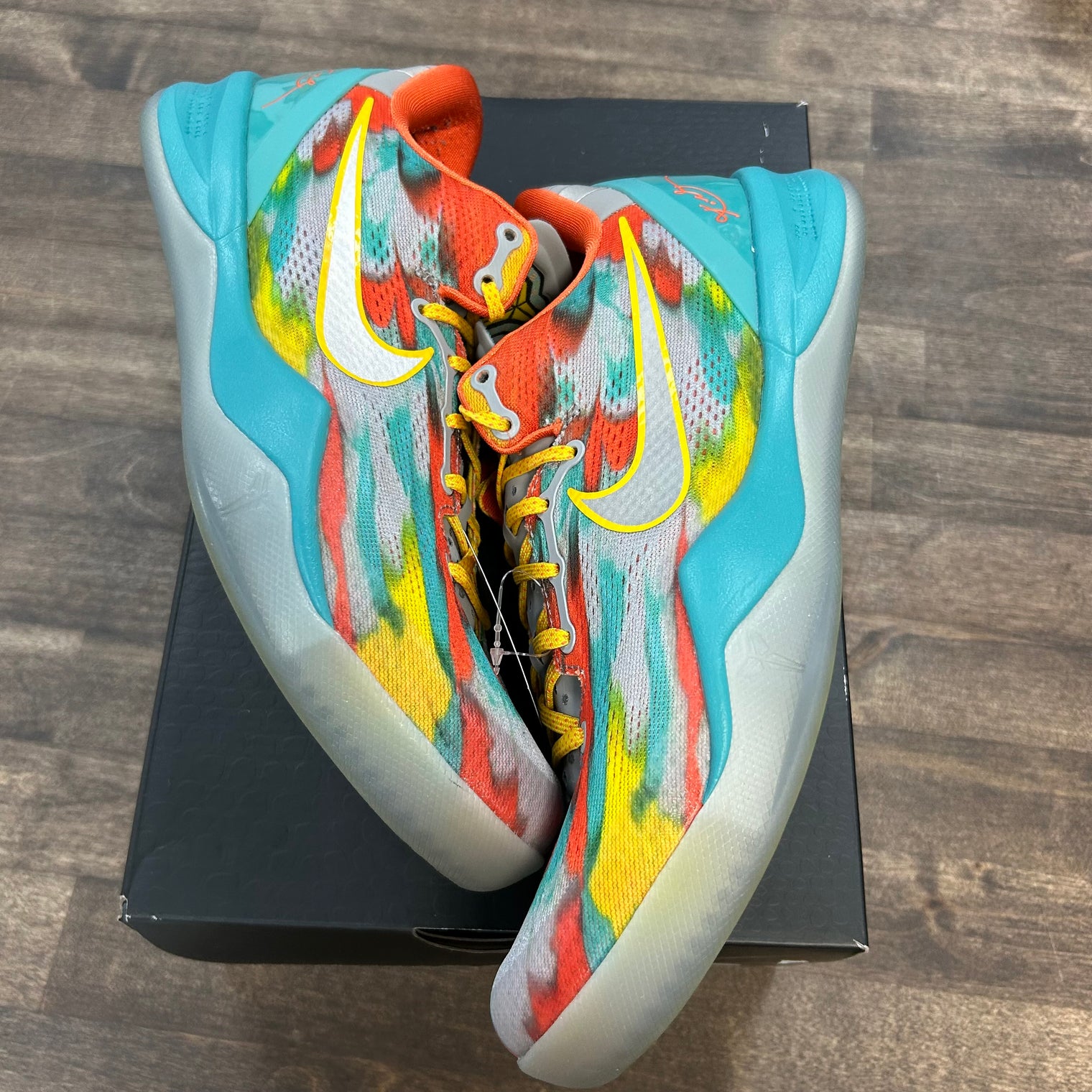 Venice Beach Kobe 8 Protro (USED)