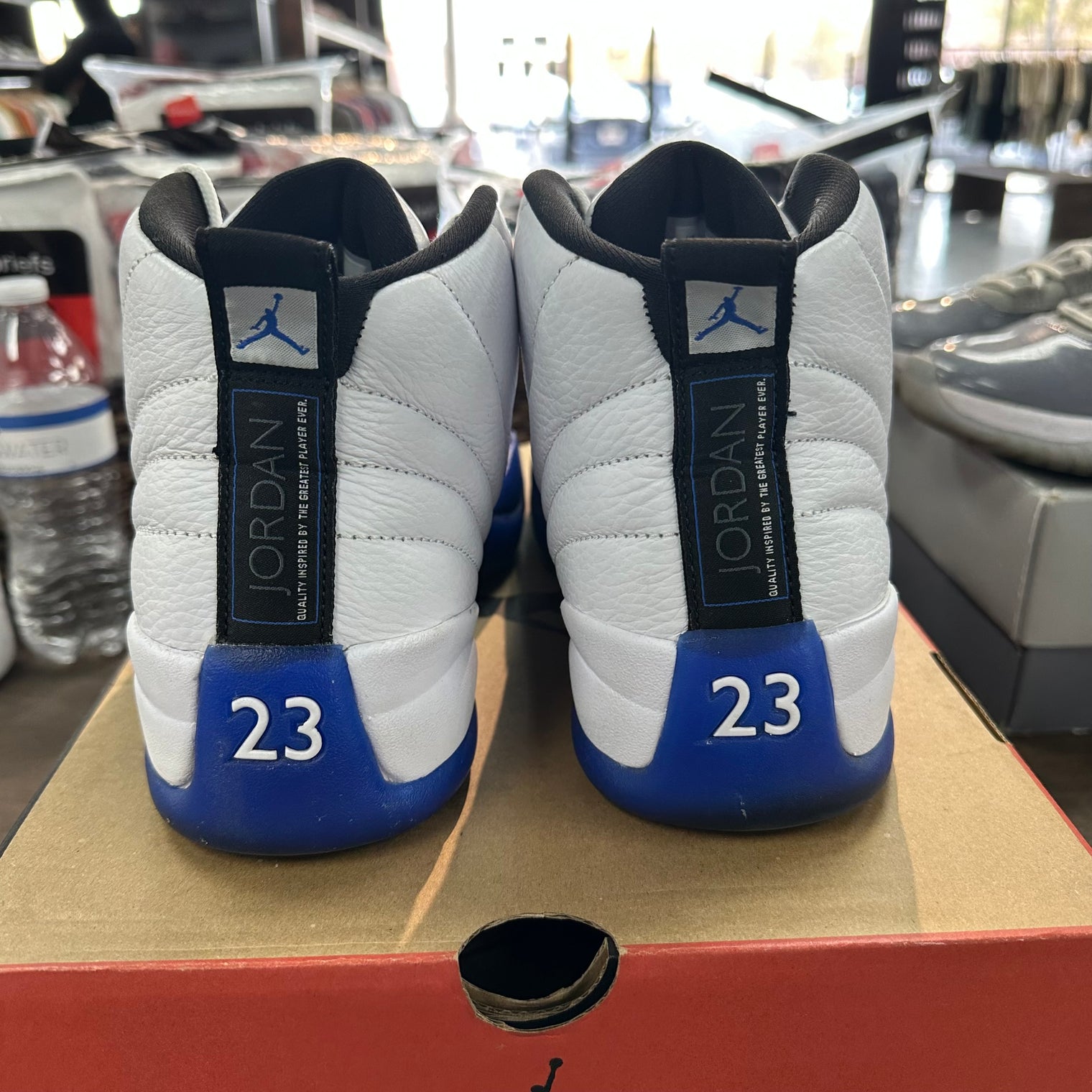 Blueberry Jordan 12 Retro (USED)