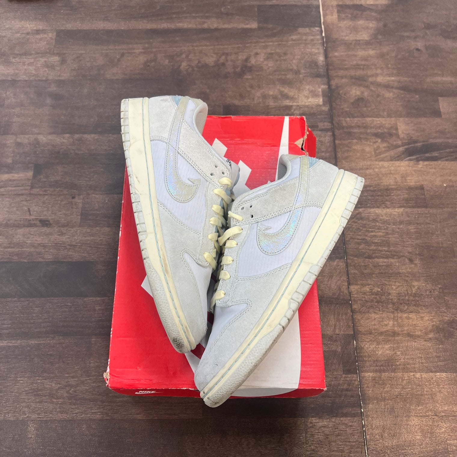 Gone Fishing Nike Dunk Low (USED)